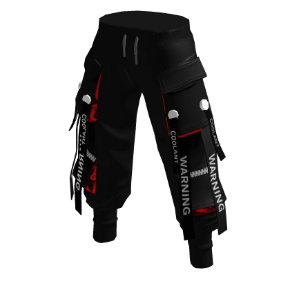 Fashionable Paratrooper Pants